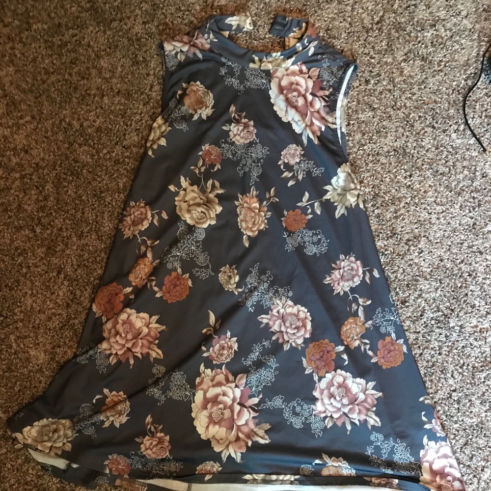 Dress/Long Shirt